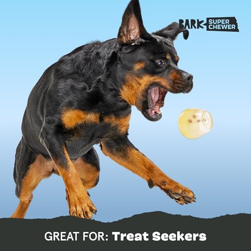 BarkBox Tipsy Toast Glass - for Medium to Large Dogs