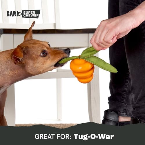 BarkBox Deep Roots Carrot Super Chewer - Toy for Small Dogs