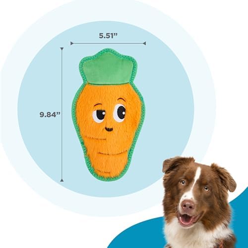 Outward Hound Tough Skinz Durable Chew Plush Squeaky Dog Toy, Carrot, 9.8"