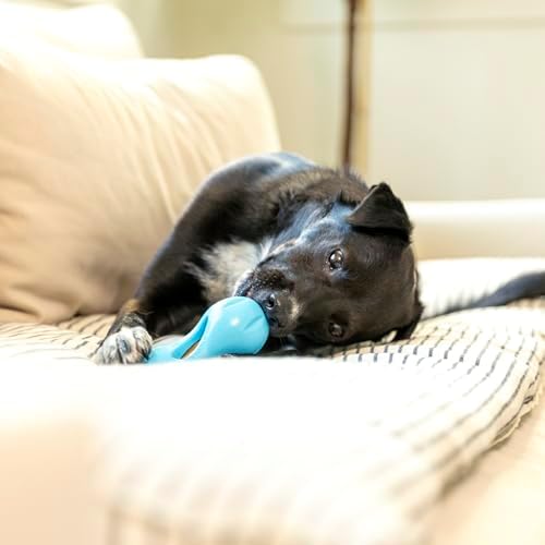 WEST PAW Dental Sticks Durable Dog Chew for Interactive Play, Clean Teeth and Fresh Breath - Safe Reliable and Long Lasting - 14 oz Bag for Small Dogs