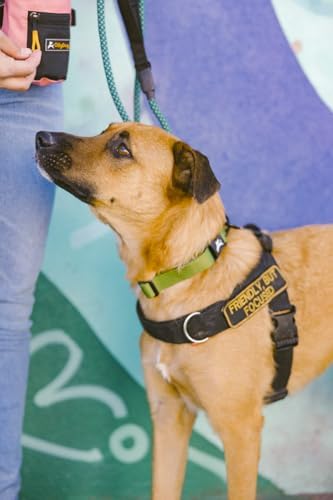 OllyDog Flagstaff Collar, Adjustable Soft Puppy Collars with Quick Release Buckle, Ideal Dog Collar for Everyday Use and Adventures (Small, Cactus Woodgrain)