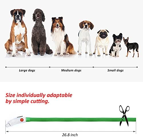 BSEEN Light Up Dog Collars - Silicone LED Dog Collar, Cuttable Lighted Puppy Collar, Glowing Dog Walking Lights for Small Medium Large Collars (Green)