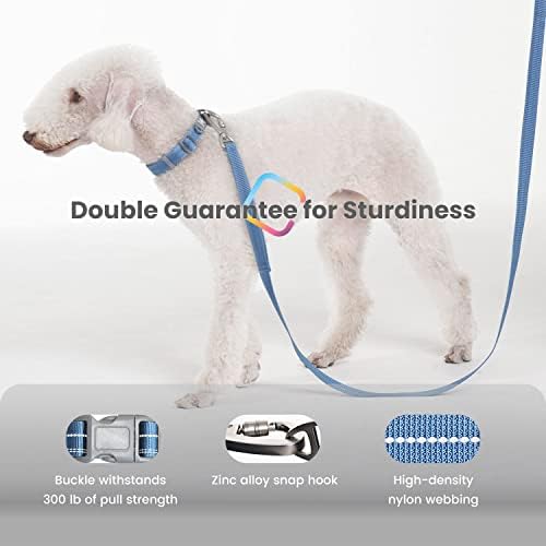 Pawaii Dog ID Tag, and Dog Collar and Leash Set(Deep Blue)