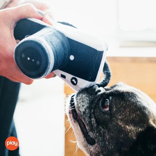 P.L.A.Y. PET LIFESTYLE AND YOU P.L.A.Y. Plush Dog Toys - Globetrotter Travel Themed Durable Squeaker Chew Toy for Puppies Dogs - Machine Washable, Recycled Materials (Lens Licker Camera)