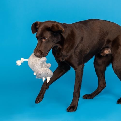 Fringe Studio Plush Dog Toy with Rope, Rhino You Want ME?, Pet Shop Collection (314594)