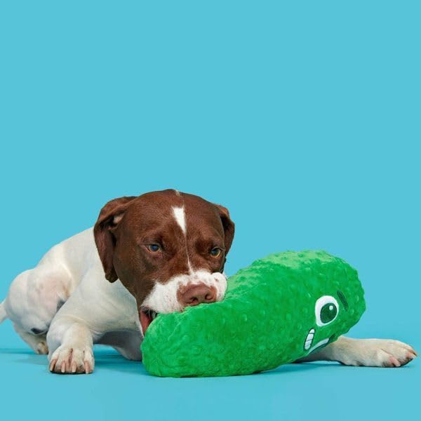 Big Dill Bill Pickle Dog Toy Plush Squeaky Crinkle Stuffed Dog Toy for Small Medium and Large Dogs Packed with Fluff Dual Squeakers Soft Green Chew Toy for Indoor Play and Cuddling