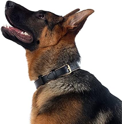 Leather Dog Collar for Small Medium Large Dogs Soft Waterproof Padded Puppy Collars