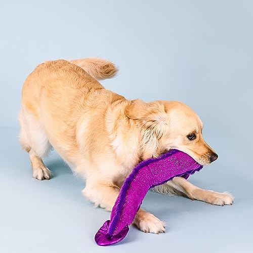 Fringe Studio Large Plush Dog Toy, Kind of A Big EEL, 37.5" Long x 3.5" Wide, Pet Shop Collection (728008)
