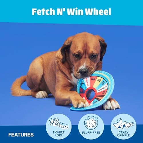 BarkBox Fetch N' Win Wheel Dog Toy - for Dogs