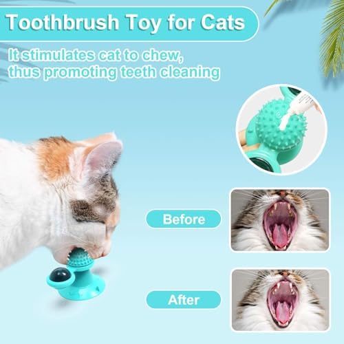 GBSYU Interactive Windmill Cat Toys with Catnip : Cat Toys for Indoor Cats Funny Kitten Toys with LED Light Ball Suction Cup‖Cat Nip Toy for Cat chew Exercise