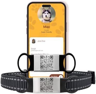 Smart Slide-On QR Code Pet Tag – Silent Dog & Cat ID Tag with Laser Engraving – Stainless Steel & Silicone – No App Needed – Custom Pet Profile – Fits Most Collars (Black, Large)