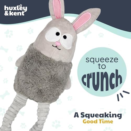 Huxley & Kent Funny Dog Toy w/Squeaker – Power Plush Squeaky Dog Toys for Small, Medium & Large Dogs – Soft Stuffed Animal for Indoor Play & Fetch - Squeak to Crunch - Lankies Binky Bunny, Large