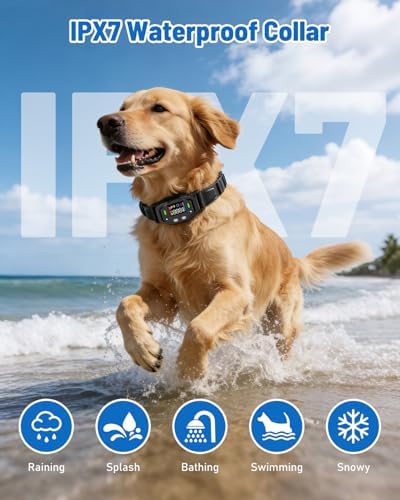 GPS Wireless Dog Fence with 25-999 Yard Range, for Dogs 18+ lbs | Electric Perimeter Containment System with IPX7 Waterproof Collar, Beep Vibration Shock Correction