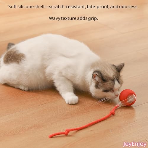 Interactive Cat Toy Rolling Ball with Tail, Motion Activated Indoor Cats