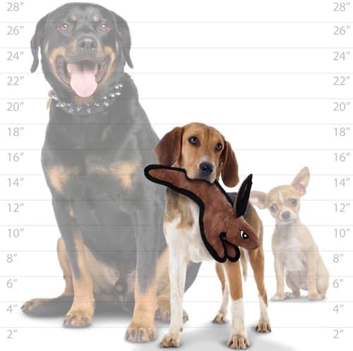 TUFFY® : Jr Rabbit Dog Toy: Ultra Durable Plush Toy with Multiple Layers & Reinforced Seams, Washable and Floats, Original Construction