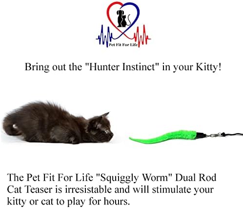 Pet Fit For Life Cat Wand Toy, 5-Piece Worm Teaser & Exerciser