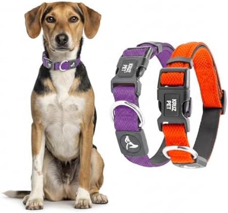 Dog Collar Bundle | Includes Orange, Medium (Width- 1", Neck - 13.5"-19") & Amethyst, Large (Width- 1.25", Neck - 18"-26") | Adjustable Padded Heavy Duty O-Ring | Soft & Comfortable Fit
