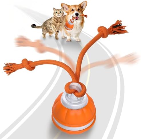 PAWSPIK Rope Runner Interactive Rechargeable Dog Ball Toy, Small