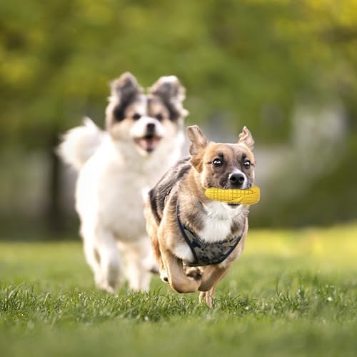 Dog Chew Toys for Aggressive Chewers,Idestructible Tough Durable Squeaky Interactive Dog Toys，Durable Dog Teeth Cleaning Toy for Medium Large Breeds，Corn Stick Toy (Yellow) (Pack of 2)