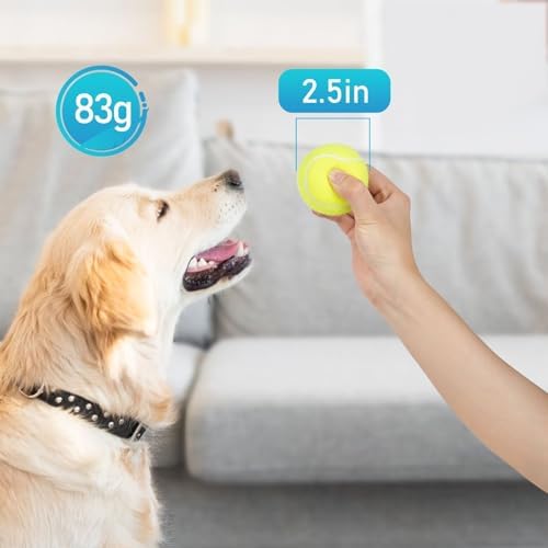 PrimePets Tennis Balls for Dogs 3 Pack 2.5”, Durable Dog Toys for Training, Fetch & Outdoor Play, Squeaky Balls for Dogs Small and Medium with High Bounce, Interactive Pet Fetch Ball