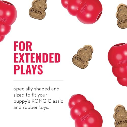 KONG - Treats Combo Pack - Easy Treat Paste and Dog Snacks - Liver Flavor for Large Dogs