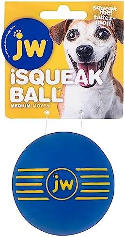 JW iSqueak Ball Durable Natural Rubber Dog Toy (Assorted Colors)