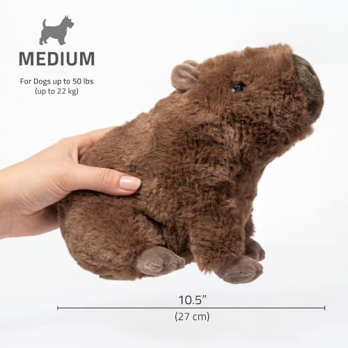Playology Plush Capybara Dog Toy - Squeaky Dog Toy - Medium, Squash Scent