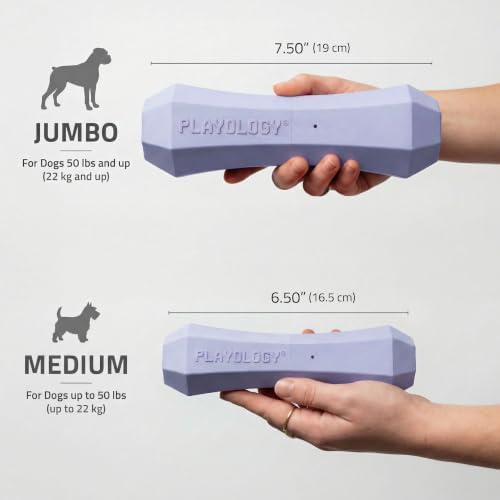 Playology Squeaky Chew Stick - Scented Dog Toy - Jumbo, Lamb Scent