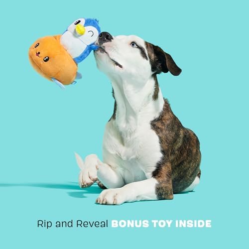 BarkBox Santiago Seal Dog Toy - Toy for Small to Medium Dogs