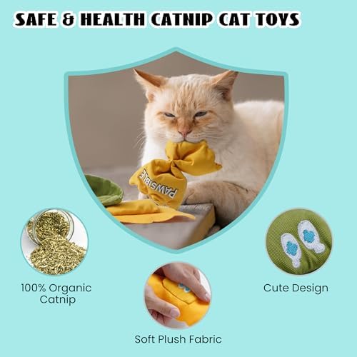 Pawsible 3 Pack Ravioli Catnip Toys for Indoor Cats, Interactive Cat Toys Filled with 100% Organic Catnip, Plush Chew Toys for Kittens, Teething Soft Catnip Toys for Cats