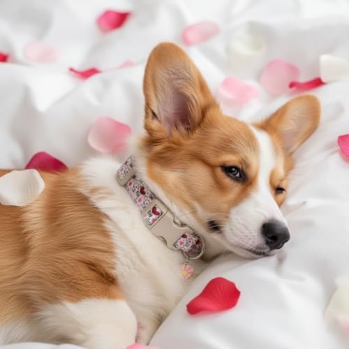Dog Collar for Small Female Dogs - Soft Adjustable Puppy Collar with Cute Pink Red Heart Pattern, Stylish Girl Dog Collar for Daily Walking & Photo Shoots, Fits Puppies and Small Breeds