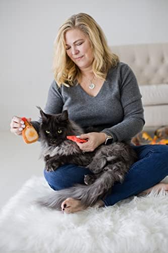 Pearhead Fall Maple Leaf and Syrup Cat Toys, Set of 2