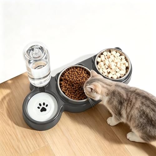 3 in 1 Cat Bowl, Cat Food and Water Bowl Set, Stainless Steel Cat Food Bowls Elevated with Tilted Design, 2 Pet Dish & Automatic Water Dispenser Feeding Station, Small or Medium Sized Dogs