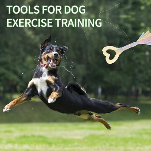 4 PCS Puppy Chew Toys for Teething Small Breed, Puppy Teething Ring, Soft Rubber Durable Dog Teething Toys, Rope Dog Toys, Funny Interactive Toy, Puppy Toys for Small Puppies, Dog Toys Set (Style 9)