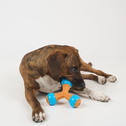 SPOT Bam-Bones PLUS Gigglers Tripod Durable Dog Chew Toy, For Large Aggressive Chewers, Bamboo Fiber & Nylon, Dual Texture, Massaging Rubber Ends, Sounds, Non-Splintering, Peanut Butter Flavor, 6 Inch