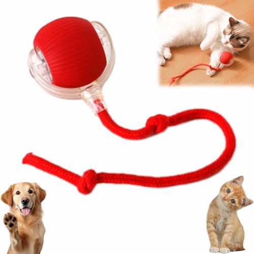 Interactive Pet Toy Ball, 2025 New Interactive Rolling Dog Ball, for Bored Indoor Cats, Automatic Rotating Rolling Balls