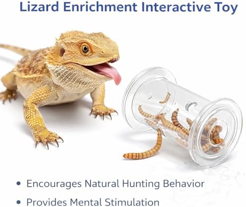 Bearded Dragon Toy - Reptile Enrichment Interactive Feeder Toy