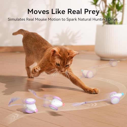 Interactive Cat Toys for Indoor Cats - Automatic Moving Kitten Toys, Wicked Mouse Neo Cat Toy with Tail & Lights, Pet Cat Supplies, Rechargeable Cat Toys for Bored Indoor Adult Cats, Purple