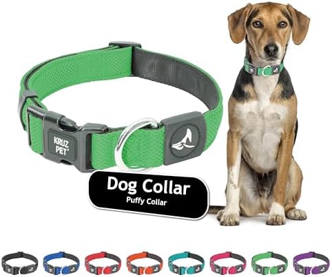 Dog Collar for Small Dogs (Width- 5/8", Neck - 8"-12") | Adjustable Padded Mint Green Dog Collar with Heavy Duty D-Ring | Soft Comfortable Fit for Small Dogs | Mint Green, X-Small