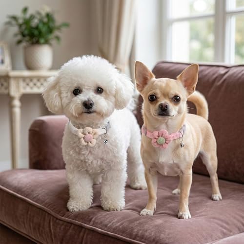 2 Pack Small Floral Dog Collar with Bell, Puppy Collar with Flower