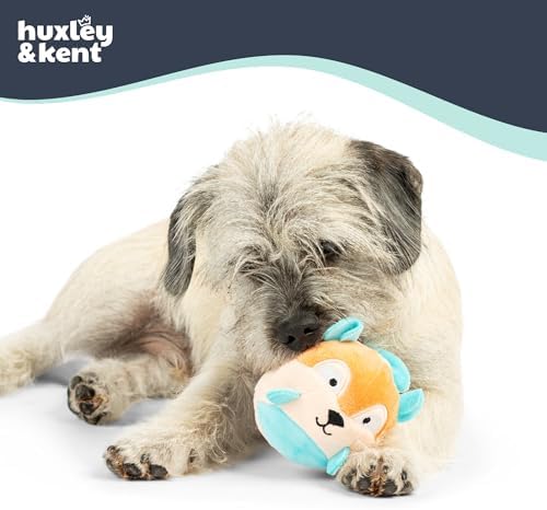 Huxley & Kent Funny Dog Toy w/Squeaker – Power Plush Squeaky Dog Toys for Small Dogs – Durable Small Stuffed Animal for Indoor Play & Fetch - Tiny Tuff Nutty Buddy