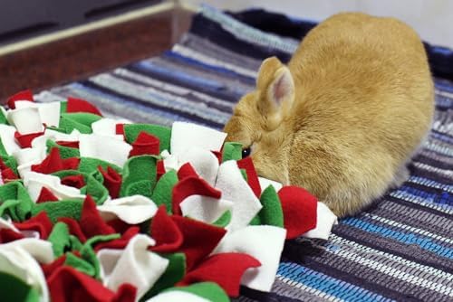 Vedem Small Animal Snuffle Mat Fleece Foraging Mats Interactive Feeding Toy Rabbit Guinea Pig Rat Hamster Anti Slip Treat Dispenser (Green/Red/White)