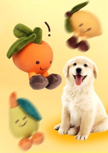 Dog Squeaky Toys Safe Latex Rubber Dog Chew Molar Toy Interactive Toy for Puppy Small Medium Dogs (Citrus)