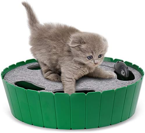 Pawaboo Interactive Cat Toy with Running Mouse, Automatic Track Kitten Toy | Electronic Motion Cat Toy for Indoor Cats, Pop and Play Hide Seek Cats Toys Hunting Mouse for Kitty Play Exercise, Green