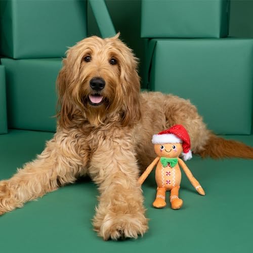 Fringe Studio Pet Toy, Seasons Eatings! Gingerbread Santa Plush Dog Toy, PetShop Collection (314468)