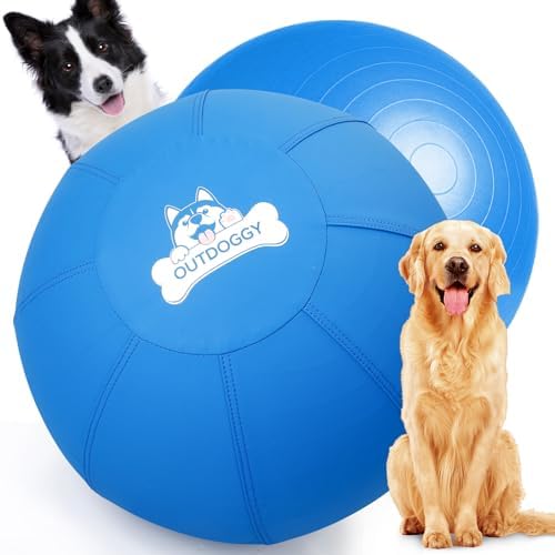 18'' Herding Ball for Dogs, Heavy Duty for Small & Medium Breeds