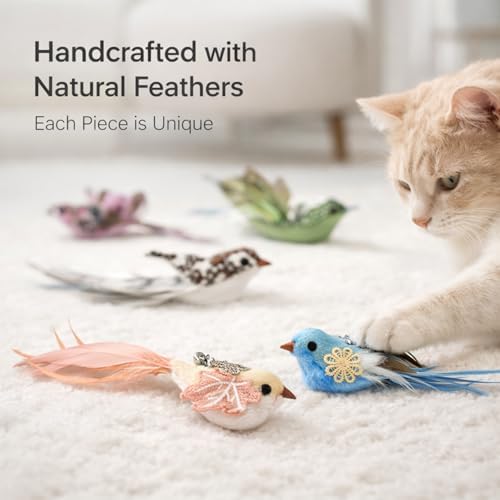 11PCS Realistic Bird Cat Toy Refills – Handmade Feather Cat Toys with Bell, Clip-on Cat Wand Attachments – Interactive Cat Toys for Indoor Cats, Refill Set for Wand Toy or Cute Home Décor