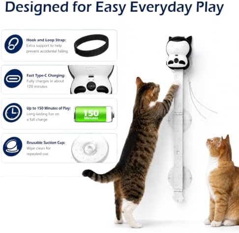 2-in-1 Electric Cat Toy, Automatic Interactive Cat Wand with 2 Play Modes (Track Chase & Bounce), Indoor Exercise Toy for Kittens & Adult Cats