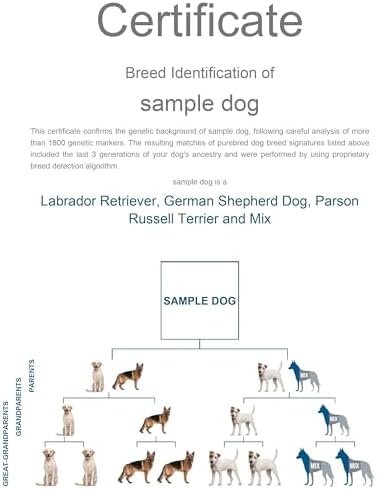 Dog Breed DNA Test Kit | Identifies 430+ Dog Breeds & Types | 174,000 Genetic Markers Analysed | Includes MDR1 Test & Breed Certificate | Home Cheek Swab Collection Kit for 1 Dog
