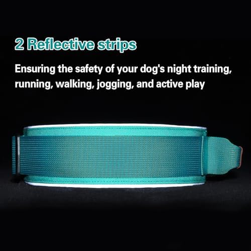 2" Tactical Dog Collar with Airtag Holder & Handle for Medium Dogs (Teal)
